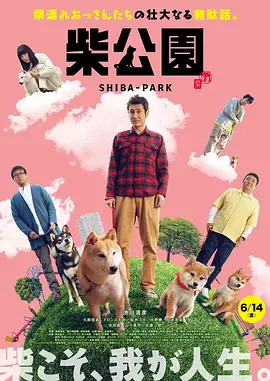 国内精品免费久久久久妲己